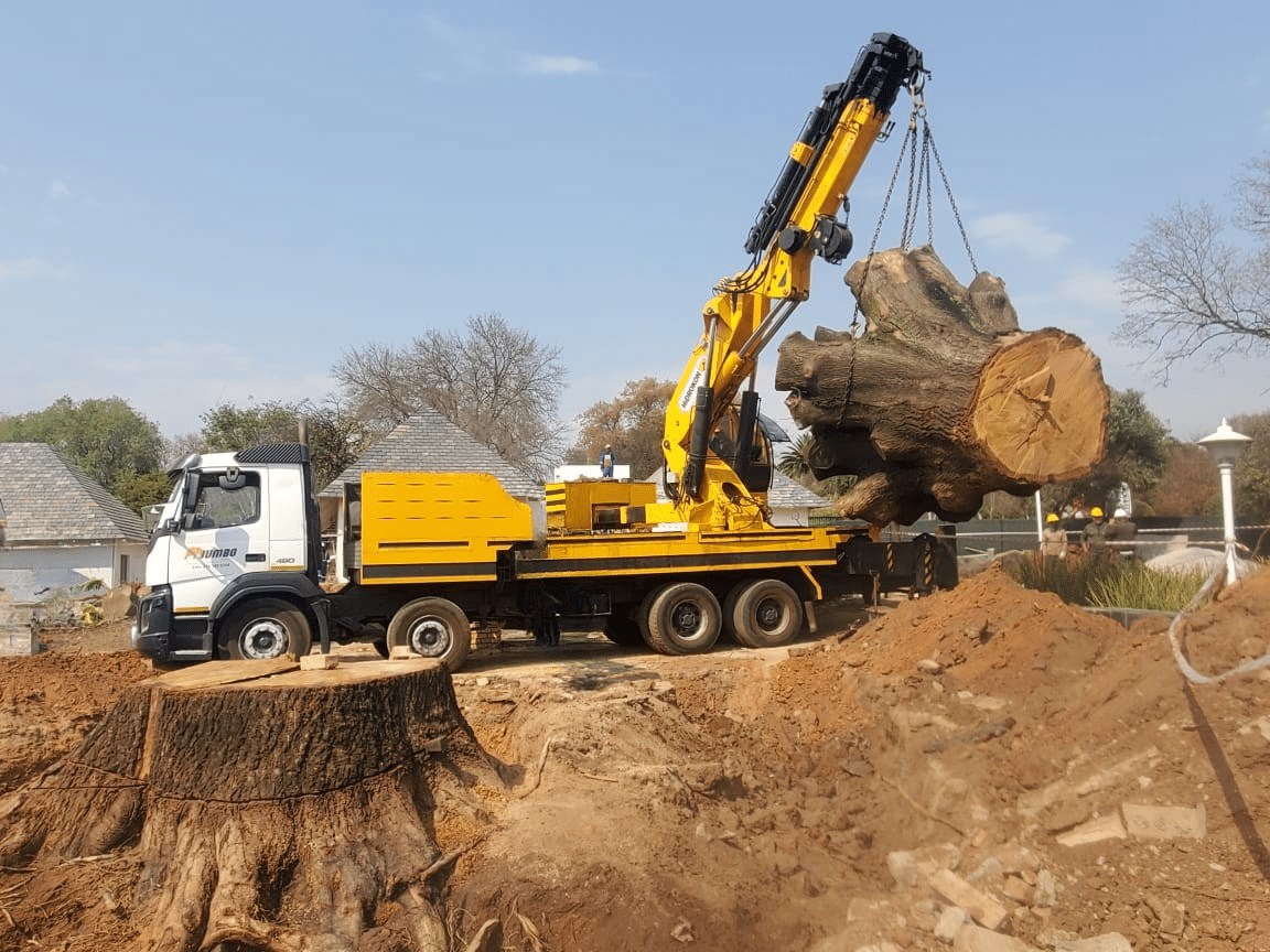 heavy tree stump lift